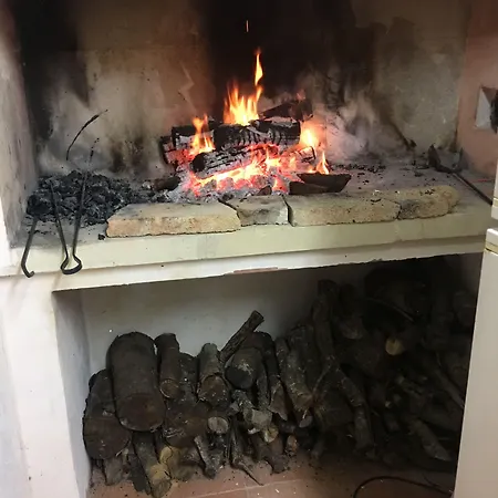 Bed & Breakfast Tenuta Il Grifo *