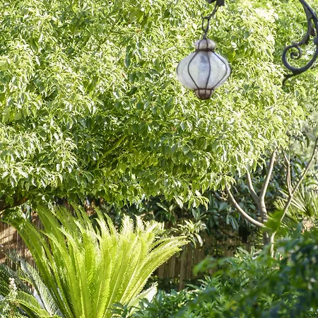Bed & Breakfast Tenuta Il Grifo