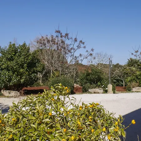 Tenuta Il Grifo