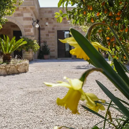 Bed & Breakfast Tenuta Il Grifo