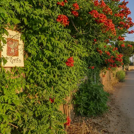 Tenuta Il Grifo Bed & Breakfast