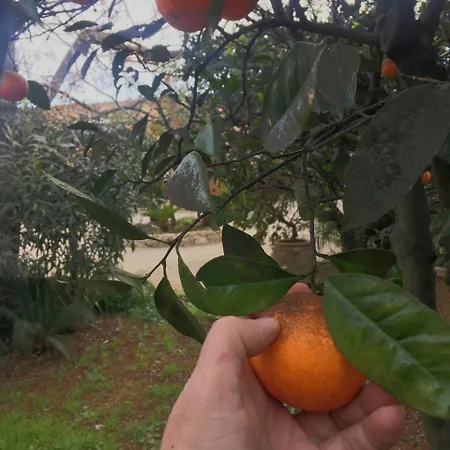 Tenuta Il Grifo Bed & Breakfast Tiggiano