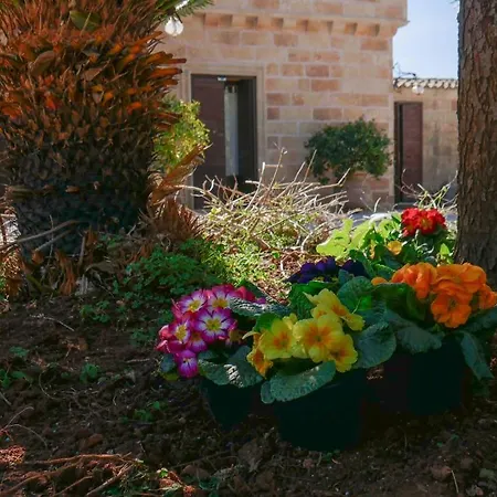 Bed & Breakfast Tenuta Il Grifo