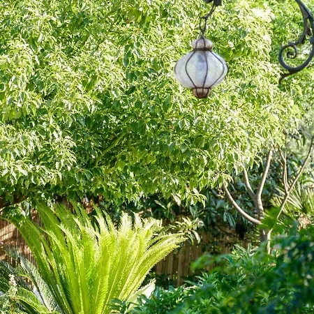 Tenuta Il Grifo