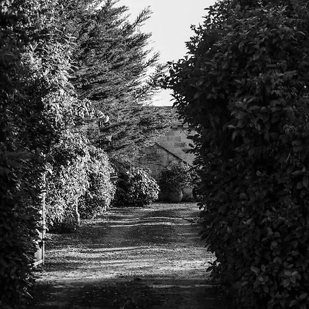 Tenuta Il Grifo Bed & Breakfast Tiggiano