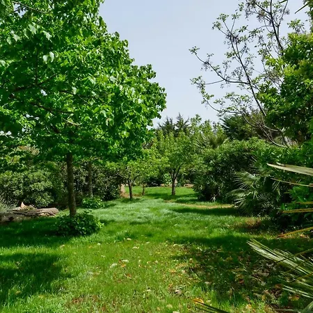 Tenuta Il Grifo *